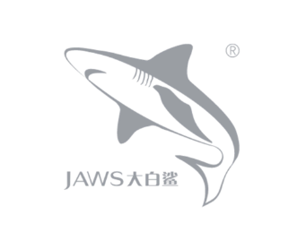轻服务低代码合作客户JAWS大白鲨